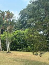 Mount Pleasant Road (D11), Detached #612879581